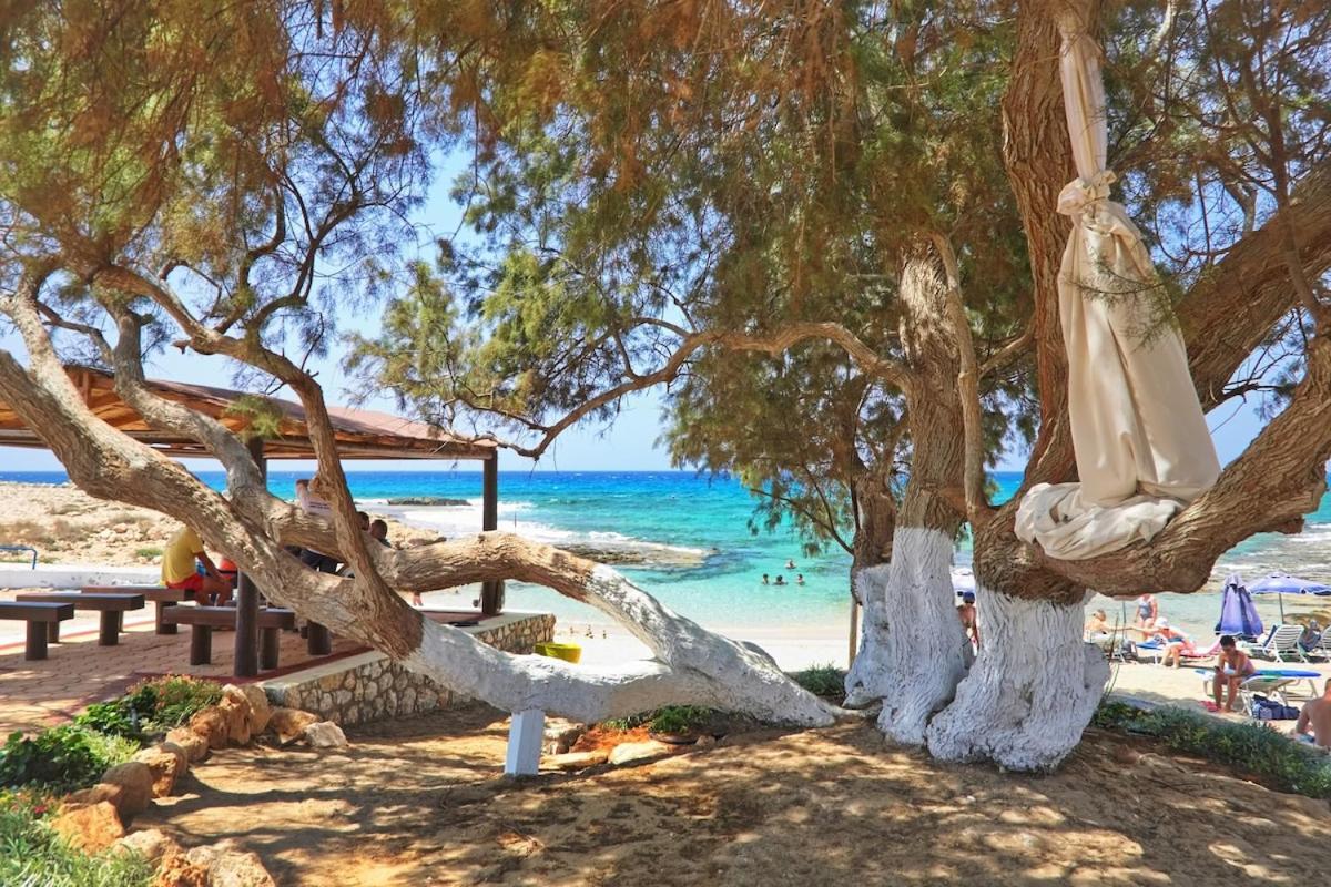 Beachfront Luxury Villa Idania Agia Napa Exterior foto